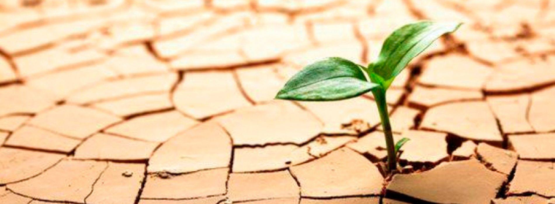 OpenSleigh: tackling state persistence, part 1 OpenSleigh: tackling state persistence, part 1